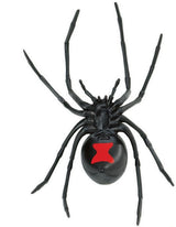 Black Widow Spider