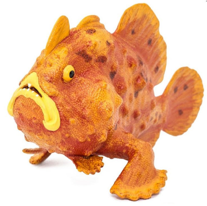 Safari Frogfish
