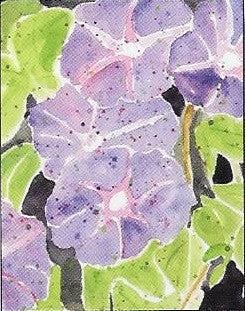 Boxed Notecards-Morning Glories