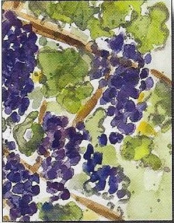 Boxed Notecards-Napa Grapes