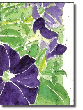 Boxed Cards- Petunias