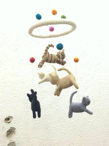 The Winding Road - Mobile- Cat and Mouse