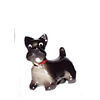 Scottish Terrier