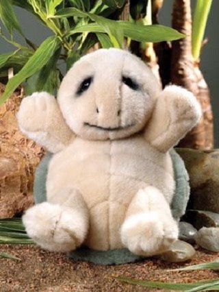 Little Un's Slowpoke the Turtle-12